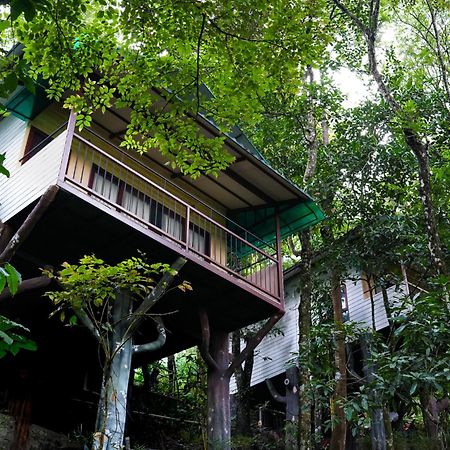 Space Rock Resort Kalpatta Ngoại thất bức ảnh