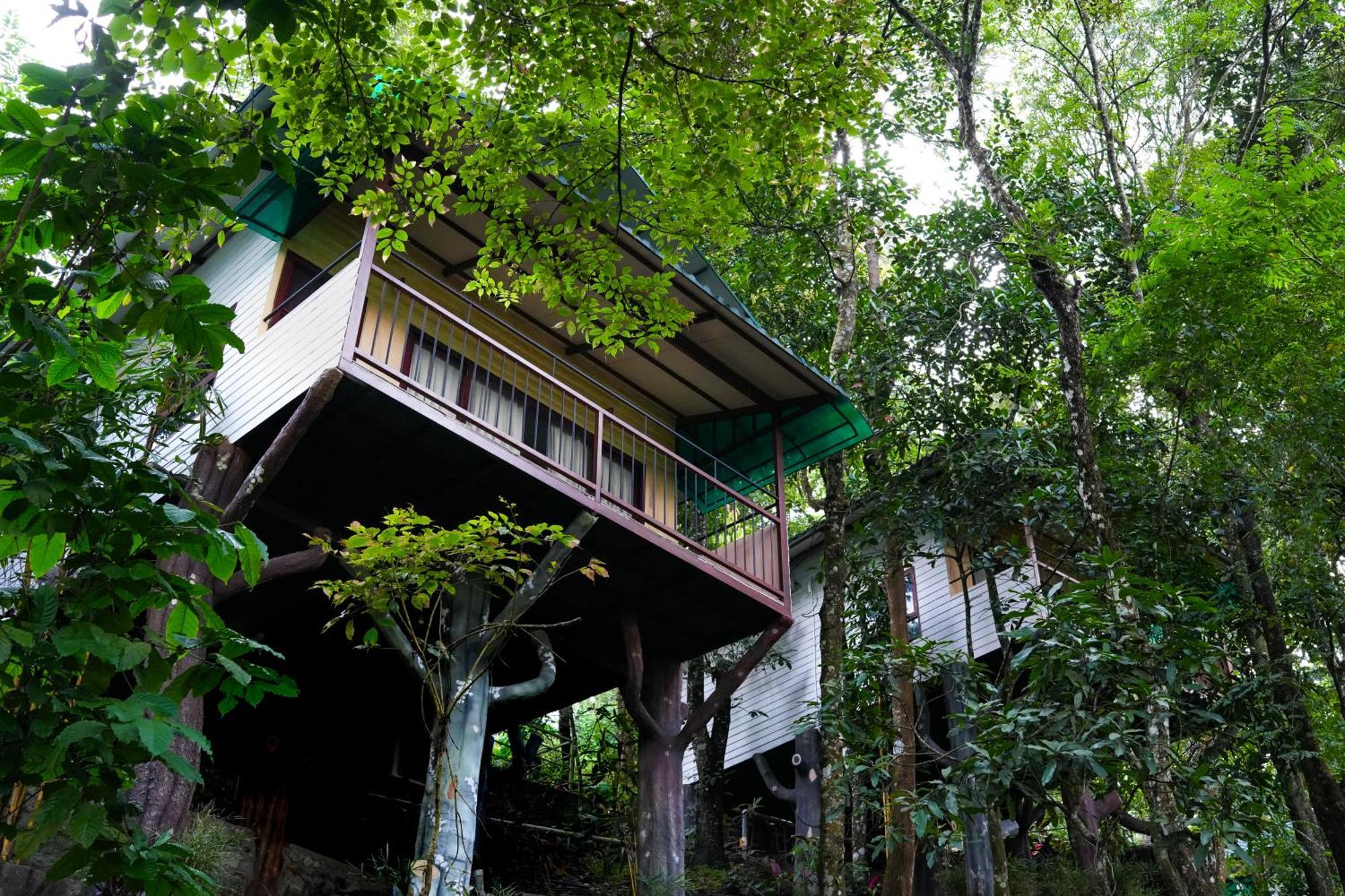 Space Rock Resort Kalpatta Ngoại thất bức ảnh